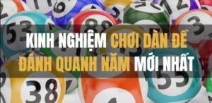 Nhận thưởng liền tay từ dàn đề ăn quanh năm thông qua chạm